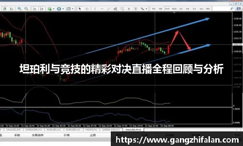 南宫NG28