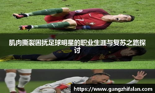 南宫NG28