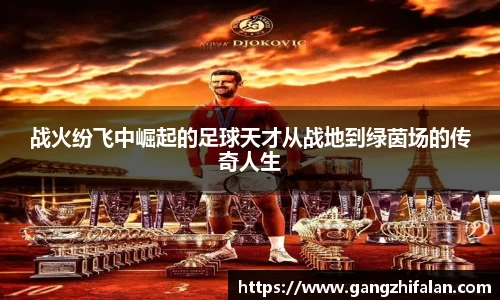 南宫NG28