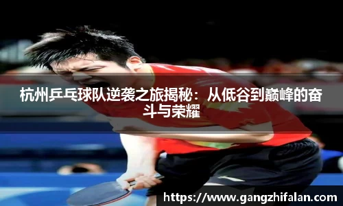 南宫NG28